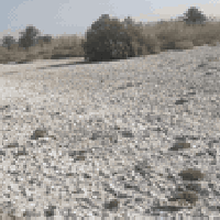 طريق المام شريف • ٤٫٥ دونم • قرب شط الفرات