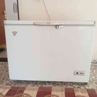 مجمدة • للبيع