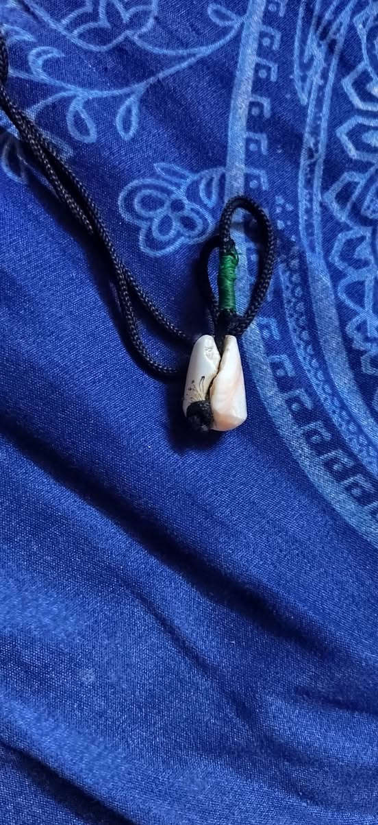 محبس وعطفه البيع ثنيهن سعر 35 مكان بغداد مدينه الصدر


**إذا كنت صاحب هذا الإعلان وتريد حذفه لأي سبب، رجاءا أرسل رسالة إلى الدعم الفني**
