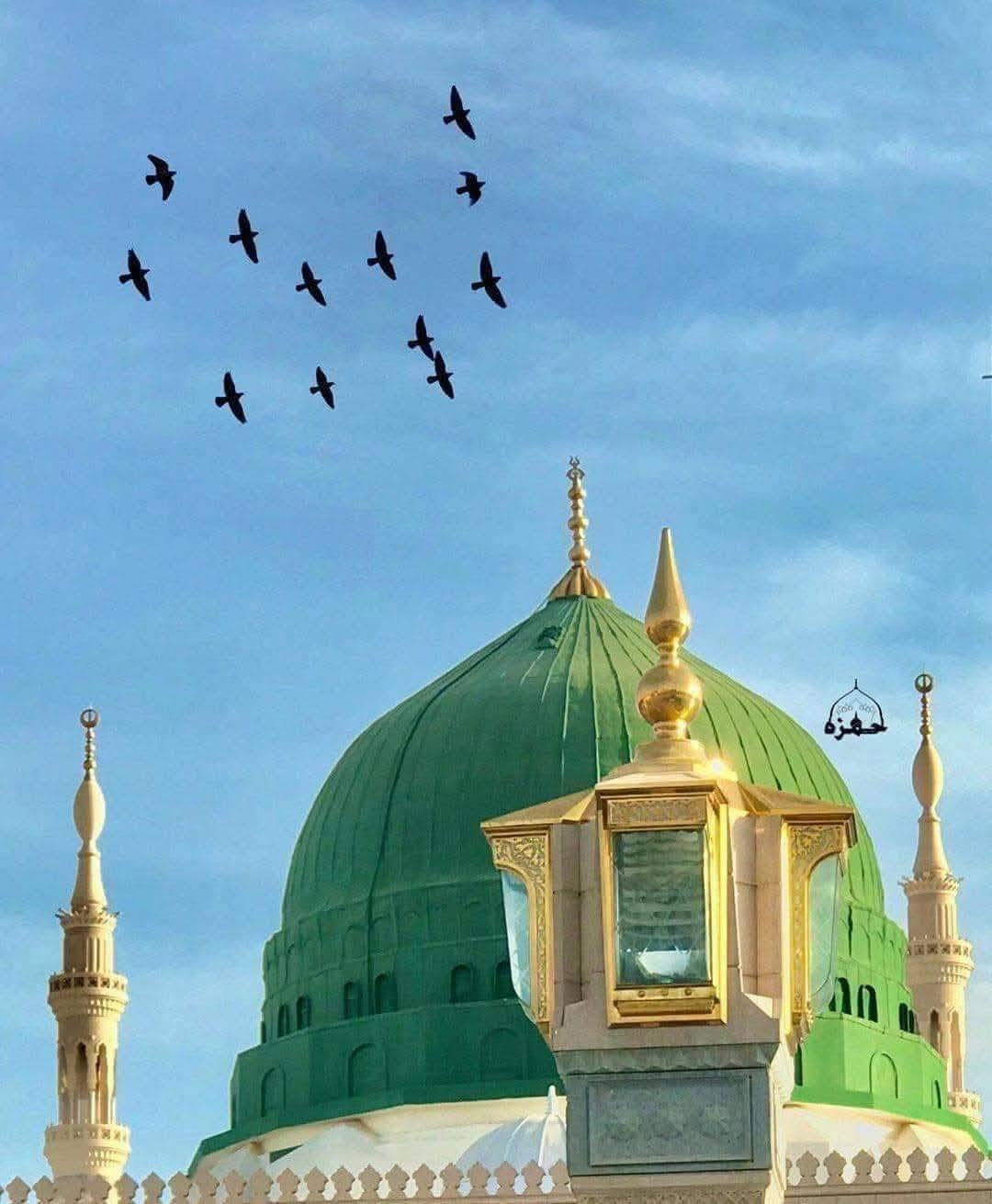 بسم الله وعلى بركة الله   وبعد التوكل على الله يعلن مكتب الفيصل باستلام جوازات عمرة محرم اي. الشهر السابع وذلك لاداء مناسك العمره في شهر محرم الحرام  ويكون السكن محبس الجن جهة السقايف باصات تدوديك وترجعك على الحرم تبريد خدمت المعتمر شرف لنا بادارة الحاج علي الفيصل الملا منصور واولاده  ***********.  *********** الموقع قرب جامع الملا منصور وشكرا

