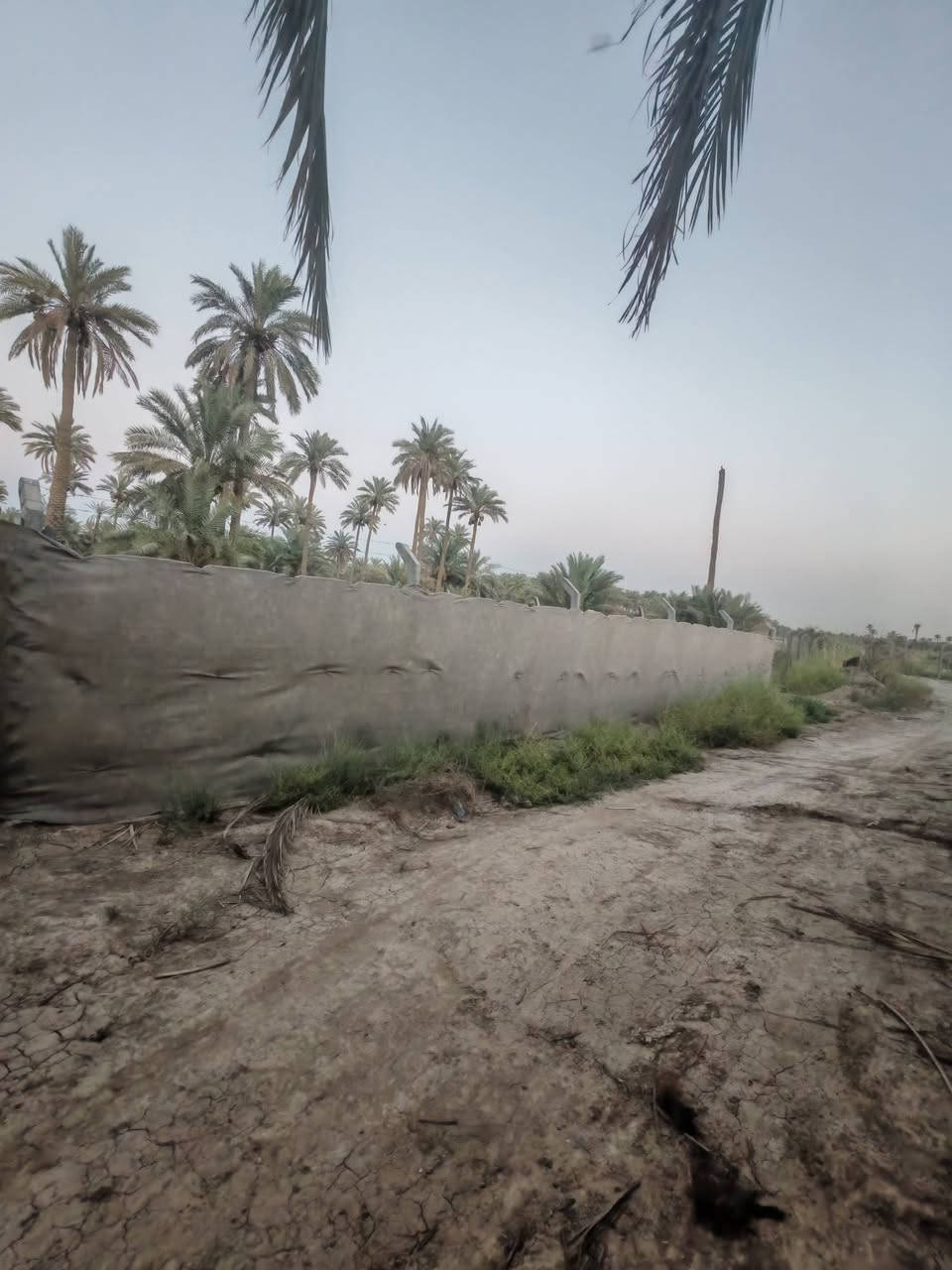 قطعه مساحتها 600متر
قرب سيد محسن كريطعه
القطعه فرعيه
طابو زراعي سند25

مكتب وعقارات الوارث
***********
