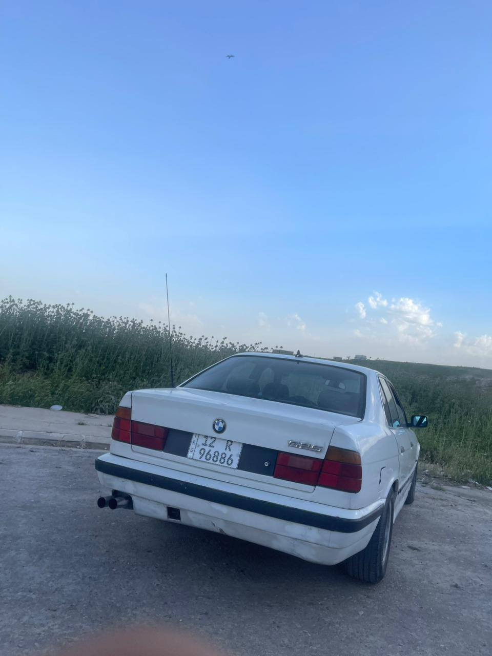 سلام عليكوم منرخصت ال ادمين المحترم BMWموديل 1989. حجم 520 بيهه جاملغ الورا صبغ وشويه معجون امه مكينه كير شرط طخم 80بل /100  تحيول شرط كوبون يحتاج تفعيل ولسعر 38وبيهه مجال شي قليل لتواصل هاذه رقمي *********** سميل, دهوك

