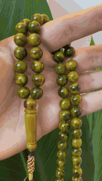 سندلوس عگروگي قلم بلجيكي ٦٧ حبه للاستفسار ***********
