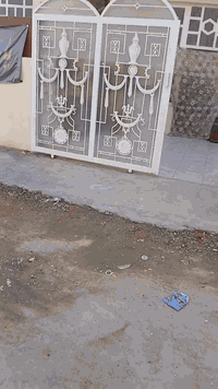 دار مساحه 150م
حي الصحه شارع الكورنيش
خلف مسبح السندباد
ويرهم مراوس بيت 100م في حي الصحه فقط 
سند 25
***********
