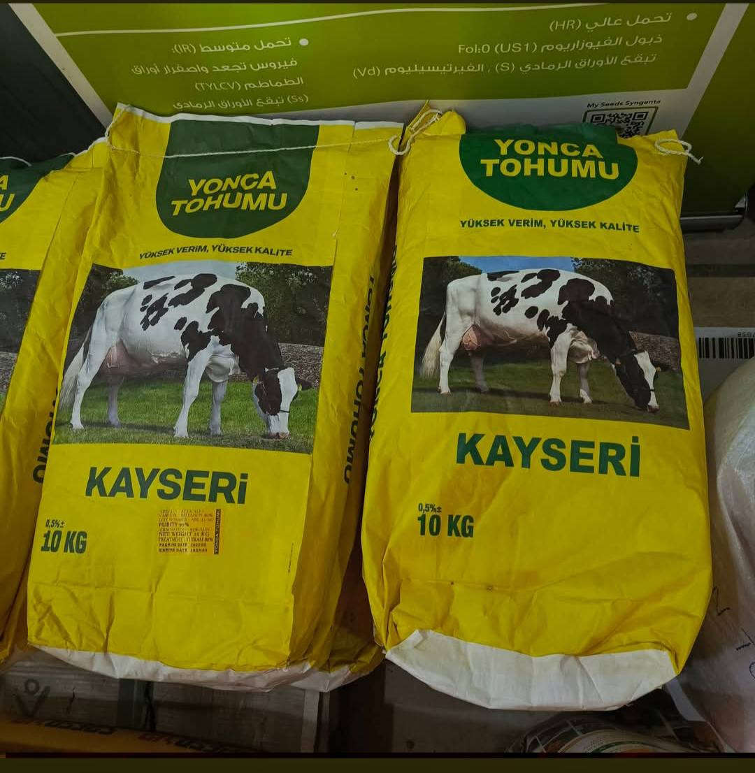 بذور جت تركيه عاليه الجوده درجه اولى تدوم لاكثر من 4 سنوات ارتفاع جيد يصل إلى 70 سنتم المغلف 10 كيلو
السعر 80 الف ... توصيل 5 الف جميع المحافظات الاستفسار ***********
