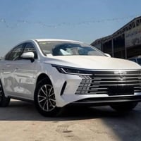 ماشيه ٥. الف مرقم بصره ٠٧٧١٣٧٧٦٩٠٥