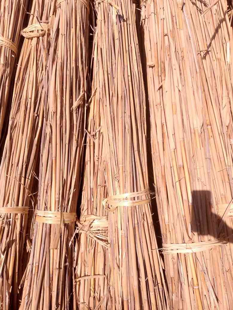 سلام عليكم يتوفر شباب وتباره ومناسبه ***********
