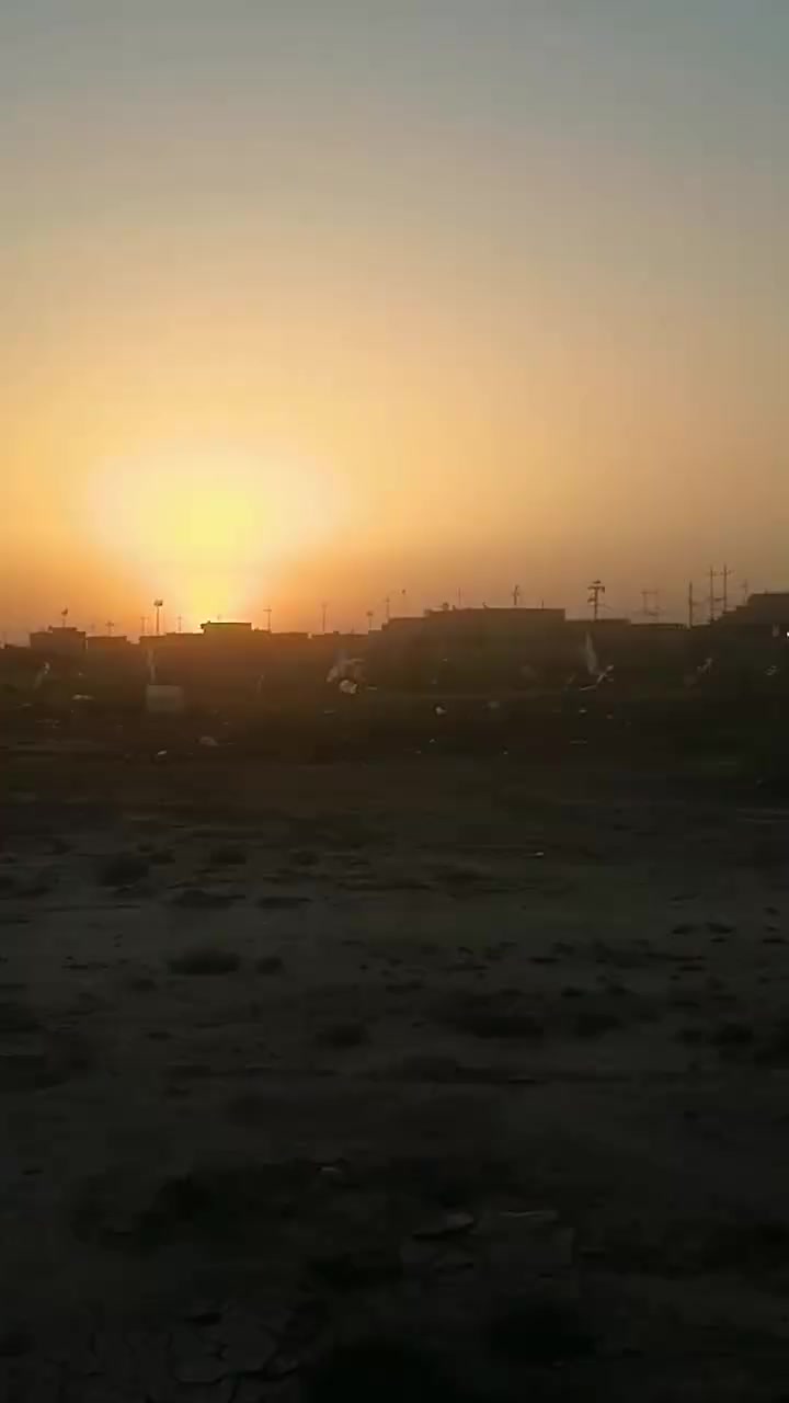 نص قطعه للبيع
السفحه
٩٧٢٠  شارع ٢٠ مقابل مدرسه ثانويه ثامن قطعه
 عن الركن مال شارع الوائلي  بناء وسكن حاليا دايرها
ومكانه حلوه *********** #للجميع #السفحه #عقارات
