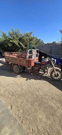 ستوته فرس • ٢٠١٠ • عز الدين سليم