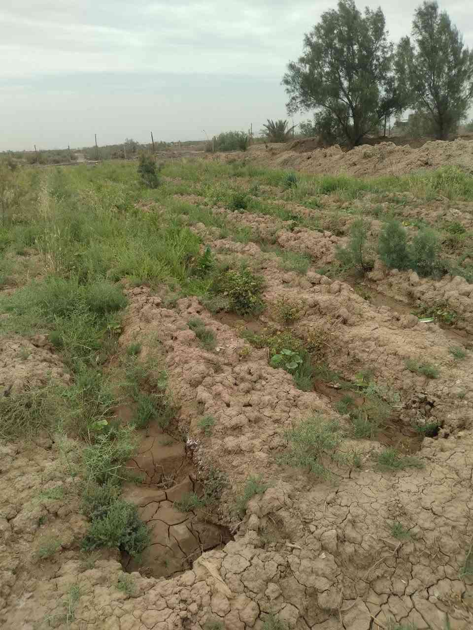 السلام عليكم
دونم مزروع  مع بيت 200 متر للبيع 
حي الجهاد قرب مدرسة اولو العزم السعر 30
وبيه مجال بسيط للاستفسار على الخاص


**إذا كنت صاحب هذا الإعلان وتريد حذفه لأي سبب، رجاءا أرسل رسالة إلى الدعم الفني**
