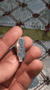 المهتم يتواصل وياي 07766778830