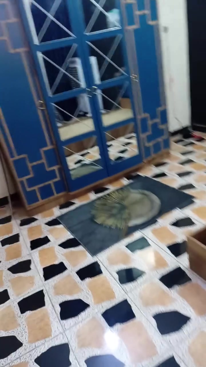 غرفة شبابية نظيفة جدا استعمال قليل اربع قطع ماخذهة ب٨٥٠ اريدهة ب ٤٥٠ وبيهة مجال للشراي ان شاء الله


**إذا كنت صاحب هذا الإعلان وتريد حذفه لأي سبب، رجاءا أرسل رسالة إلى الدعم الفني**