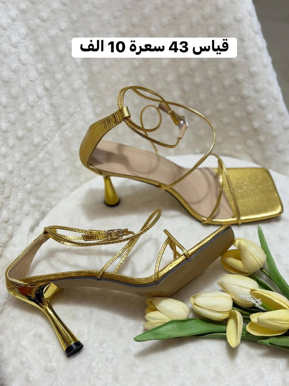 احذية شي ان كوالتي ..توصيل كل المحافظات 5 الف


**إذا كنت صاحب هذا الإعلان وتريد حذفه لأي سبب، رجاءا أرسل رسالة إلى الدعم الفني**