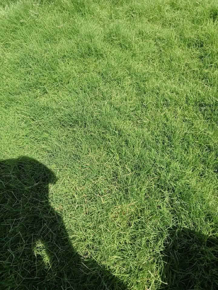 ثيل ديالى الطبيعي #***********#
