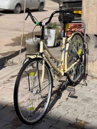 باسكل حليبي • موديل ٢٢