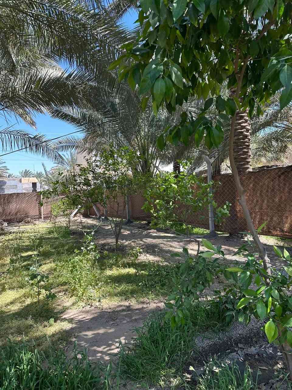 قطعه  للبيع مساحتها 400 متر 
في كربلاء شارع بغداد مقابل عامود 50 قرب الشارع العام جهة الدخول الخدمي خلف الخباطه  
شارع 10متر والفرعي 8متر تبعد عن التبليط الفرعي 20متر
توفر ماء كهرباء مجاري  
طابو زراعي سند 25 من صاحب الارض 
السعر 225 مليون 
عقارات كربلاء في حي العباس ع ***********
@أبرز المعجبين
