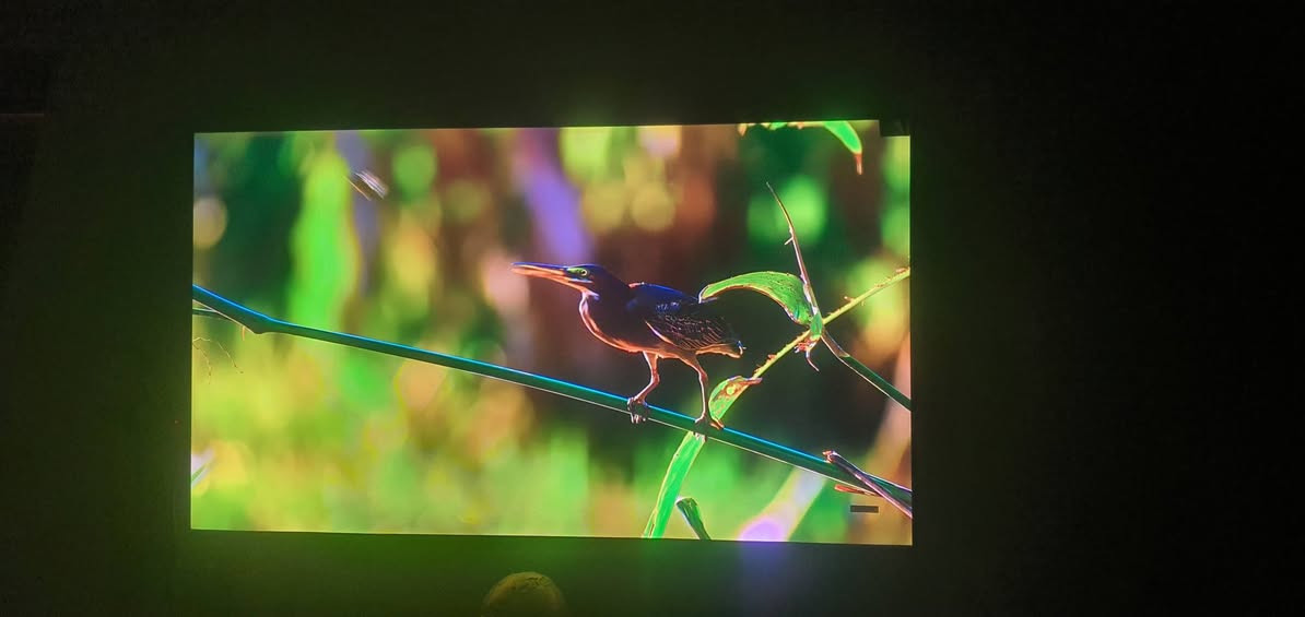 📺 للبيع شاشة TCL حجم 50 إنش بحالة ممتازة جداً
شاشة TCL موديل 50C645 بحالة شبه جديدة، استخدام قليل جداً وما زالت نظيفة وعليها اللواصق.

✨ المواصفات:
• الموديل: TCL 50C645
• الحجم: 50 إنش
• دقة العرض: 4K Ultra HD
• نوع الشاشة: QLED
• نظام تشغيل ذكي (Smart TV)
• تدعم الإنترنت والتطبيقات مثل يوتيوب ونتفلكس
• صورة واضحة وألوان قوية مناسبة للأفلام والمباريات والألعاب
• مناسبة للـ PlayStation و Xbox

📋 المعلومات المكتوبة على الكرتون:
• Voltage: 100-240V ~ 50/60Hz
• Weight Net/Gross: 8.9 / 12.7 KG
• Dimensions: 1265 × 130 × 775 MM
• Made in China

📦 الشاشة نظيفة جداً واستخدامها قليل.

💰 السعر: 500 ألف دينار
وقابل للتفاوض البسيط للجادين.

📩 للتواصل خاص.


**إذا كنت صاحب هذا الإعلان وتريد حذفه لأي سبب، رجاءا أرسل رسالة إلى الدعم الفني**