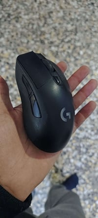 شغاله ١٠٠٪ • نقص دانكل • ماوس