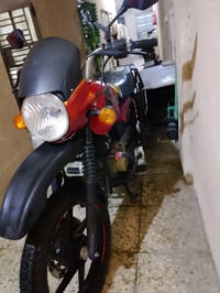 بوكسر جبلي • ٢٠٢١ • بدون أرقام