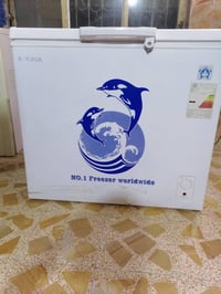 مجمدة • جديدة • ديوانيه
