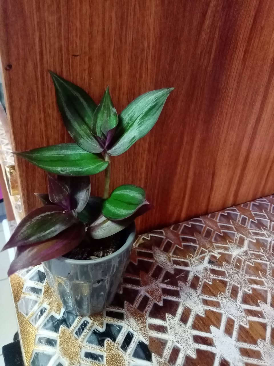 زرع طبيعي زرع طبيعي ماءي قاروره زرع بلتربه سعر حسب حجم السندانه والقاروره


**إذا كنت صاحب هذا الإعلان وتريد حذفه لأي سبب، رجاءا أرسل رسالة إلى الدعم الفني**