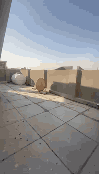 /// على بركة  الله تعالى ///
بيت عقد زراعي للبيع 
المساحة/ ١٠٠متر مربع  (١٠م ×١٠م )
التفاصيل البيت/ طابقين ونص
الطابق الاول //غرفة نوم  واستقبال ومطبخ وصحيات وصالة
الطابق الثاني // غرفتين نوم  وصالة وصحيات 
الطابق الثالث // غرفة نوم وصحيات وبيتونة وسطحين
الخدمات كاملة/ تبليط. ومجاري وماء  كهرباء
العنوان /الزعفرانية. الاربع شوارع. خلف دائرة المجاري .شارع الامام علي  .زراعي علي مكلف
السعر// ١٥٠ مليون قابل للتفاوض
للاستفسار مراسلتنا على الماسنجر الخاص
للاستفسار مراجعة مكتب دلالية المصطفى للعقار الزعفرانية الاربع شوارع خلف ماركت اللؤلؤة مجاور أسواق القبس اوالاتصال او مراسلة واتس اب ***********او***********
