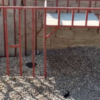 محل للبيع • فلوجه • اكسسوارات سيارات