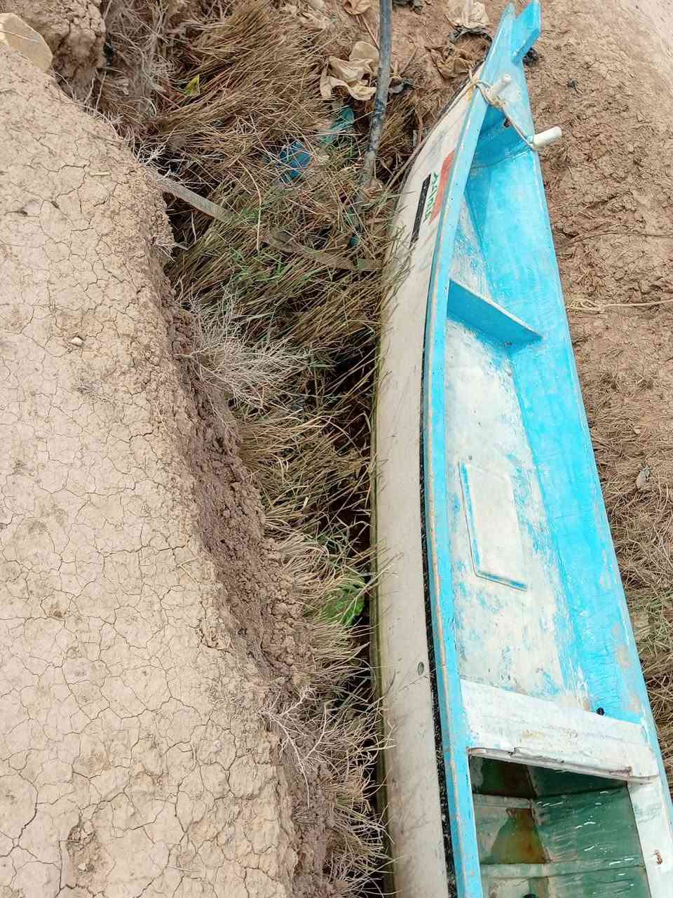 سلام عليكم اخوان عندي هاذه البلم للبيع الطول 8مترونص ولعرض مترونص العنوان بصره ابولخصيب ولسعربمليون وبي مجال رقم ***********
