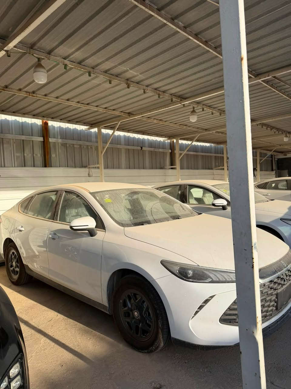 متوفر BYD سيل 5 موديل 2025  
متوفر BYD چن بلاس موديل 2025 
متوفر BYD دستروير موديل 2025 

مرقم بغداد جاهز بنظام المقدمة والتسديد الشهري 
بدون كفيل تسليم مباشر حصرا لسكنة بغداد مناطق الكرخ مناطق الكرخ 

للاستفسار الاتصال على الارقام التالية 
***********
***********
