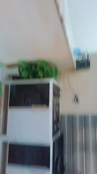 من رخصه صاحب الكروب  عيوني عندي هاي الغرفه و التخم للبيع  اريد انتقل ل...