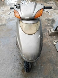 سبيسي • ياباني • سلف