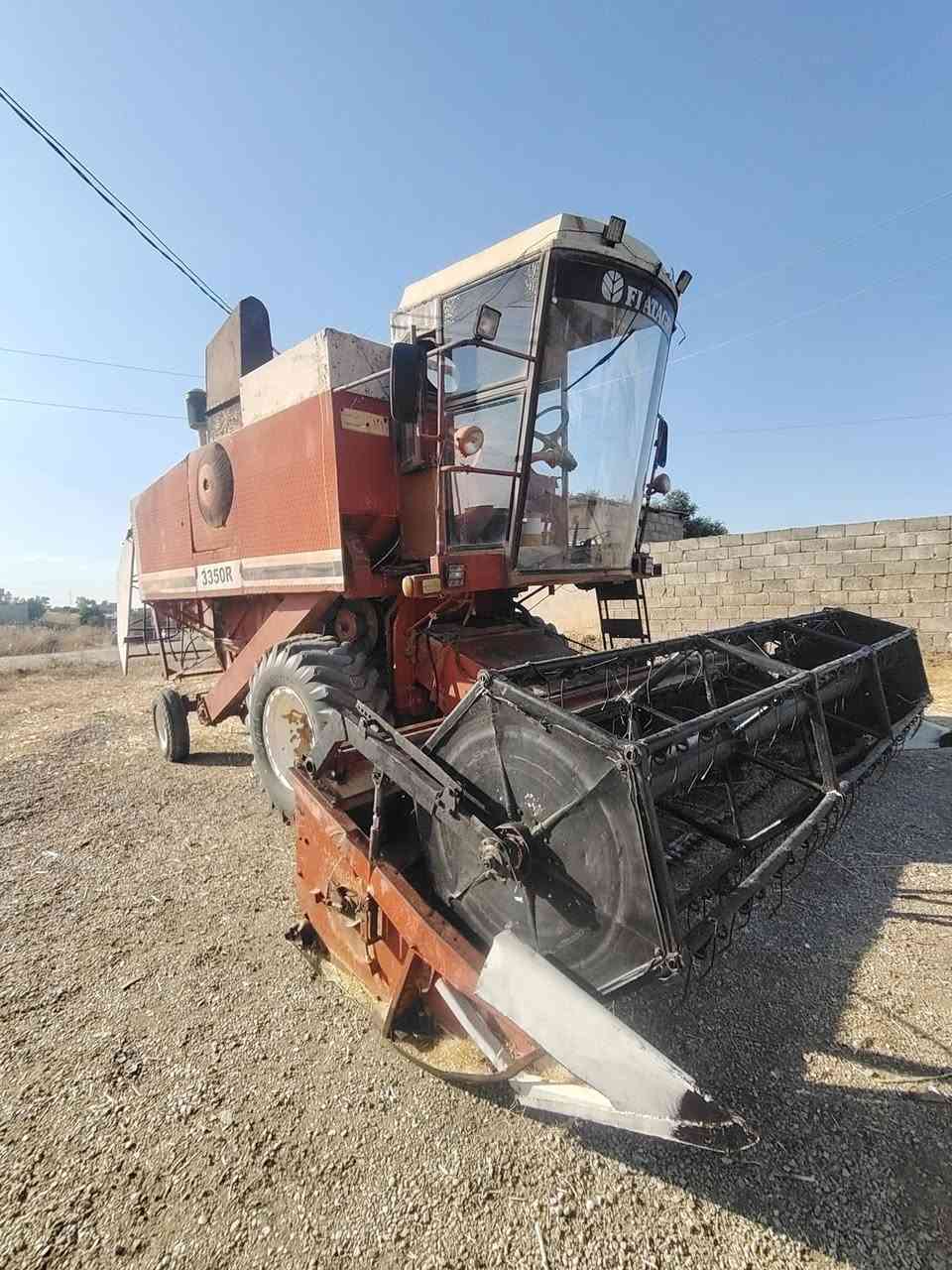 دراسه لافيرده للبيع  موديل 85 جاهزه للحصاد معمر كامل ***********
