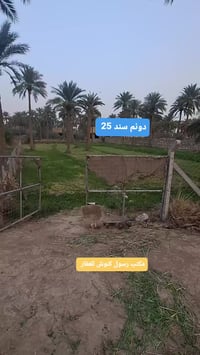 حلة شارع ١٠٠ • ٢٥٠٠م • طابو زراعي