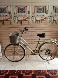 بايسكل ياباني • سبع نمر • كاطون الرازي