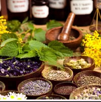 شامبو أطفال • أعشاب طبيعية • يعالج مشاكل الشعر