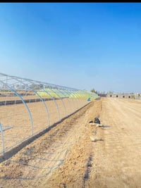 قرية البيضه • ٥٦م×٩م • لبناني