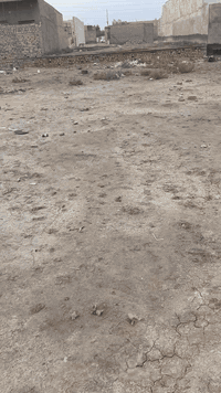 فرع رياض الحميداوي • ٢٠٠م • أرض