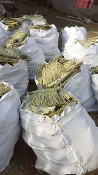 إخوان السلام عليكم عندي كمية مكانس كل شليف عدد ١٠٠ قطعه. سعر الشليف ٢٥...