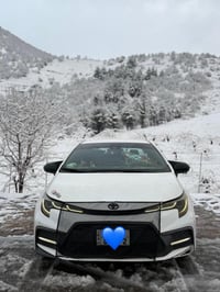 كربلاء النجف • من الباب للباب • ٢٤ ساعة