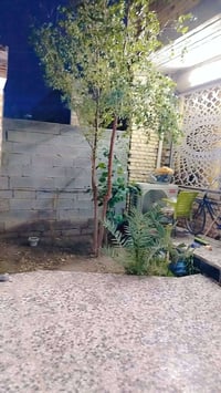 بيت للبيع في حي المتنبي مساحه 130متر هاذا رقمي للستفسار اكثر 078036993...