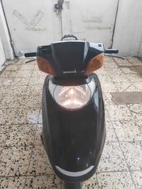 سبيسي ياباني • شغاله • كوت شهداء