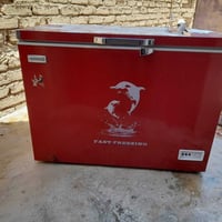 دولفين • بدون صيانة • درجة أولى