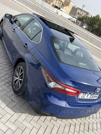 XLE • ٢٠٢٣ • حادث خلفي