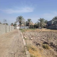 ٢٥ دونم • طابو سند • البوحمد