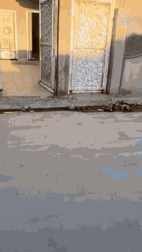 #عروض_مكتب_الرحاب_للعقار
#بيت_للبيع
حي العبور المدخل الاول قرب جامع النجماوي
المساحة 250 متر
الواجهة 10 متر
الاتجاه غروب
الشارع تبليط
طابق واحد
ثلاث غرف+استقبال+هول+مطبخ +الصحيات+بيتونه
البيت فارغ تسليم فوري
السعر 60 مليون وقابل للتفاوض
الاسعار موجودة على قناة المكتب التيليكرام ↘️
                                      https://t.me/AL_RIHAB
السند زراعي نموذج 25 (قرار 320) وصل بلدية
للاستفسار الاتصال او مراجعة المكتب
***********/واتساب
***********
عنوان المكتب
مكتب الرحاب للعقار سايدين حي الرسالة
