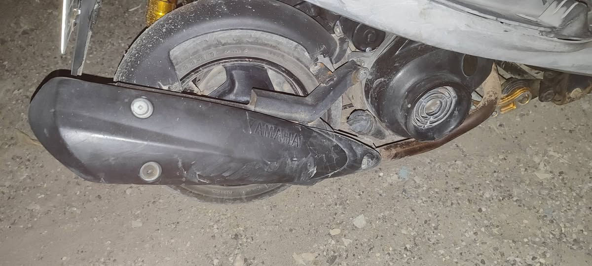 مراوس بصلنصه بلاديه مكاني ديالى بعقوبه


**إذا كنت صاحب هذا الإعلان وتريد حذفه لأي سبب، رجاءا أرسل رسالة إلى الدعم الفني**