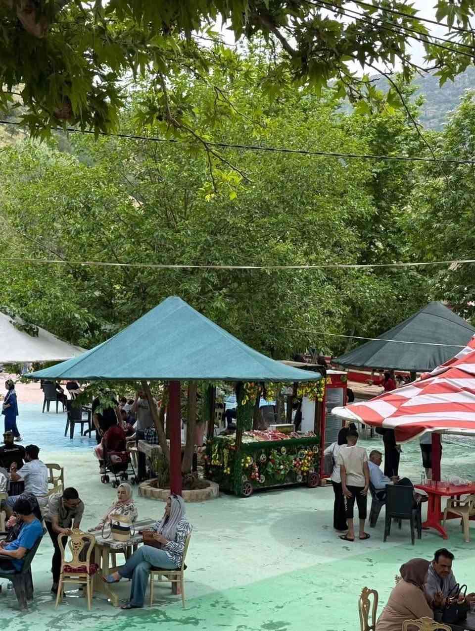 #سفرة دهوك

الانطلاق من الشرقاط ساحل الايمن والايسر 
--------------(شباب وعوائل 🏞️🏞️🏞️)------
(النفر-13.000الف ذهاب واياب سيارات حديثة ومكيفة
دهوك  ومصايف  زاخو يوم واحد (كل يوم جمعة و يوم ثلاثاء) 

تشمل الرحلة  
1-مصيف وشلال شرانش
2-مصيف برخ 
3-مصيف دشتتاخ🏊‍♂️
4-كهف بهيري🏞️
5-حديقة الحيوانات🎠
6-فاملي مول+مدينة الالعاب 🎡

ومتوفر كوسترات خصوصي سفرات موصل دهوك اربيل وحجز فنادق ومزارع للشباب و للعوائل

للحجز والاستفسار الاتصال ***********

