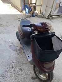 منغولي • شغالة • كربلاء