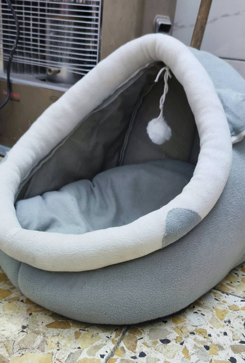 نوعيه هذا الذكر سكوش عمره 9 اشهر هادي ومتعلم ؏ التر بوكس ونضيف ويا كل مستلزماتهه واكل ، سعر 70 وبي مجال ، مكان بغداد الحريه الثالثة


**إذا كنت صاحب هذا الإعلان وتريد حذفه لأي سبب، رجاءا أرسل رسالة إلى الدعم الفني**