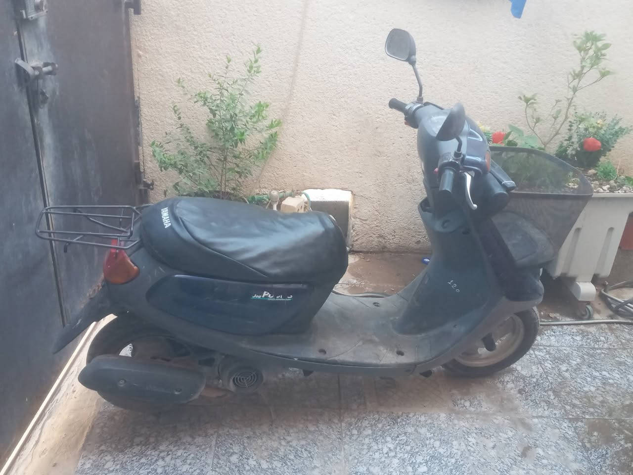 درجة  مغوالي سعر 600__ ***********

